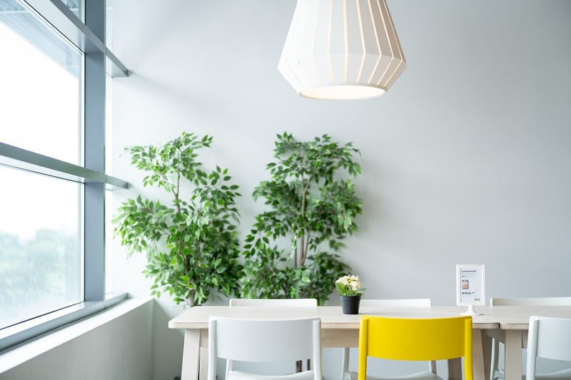 Eco-conscious lifestyle